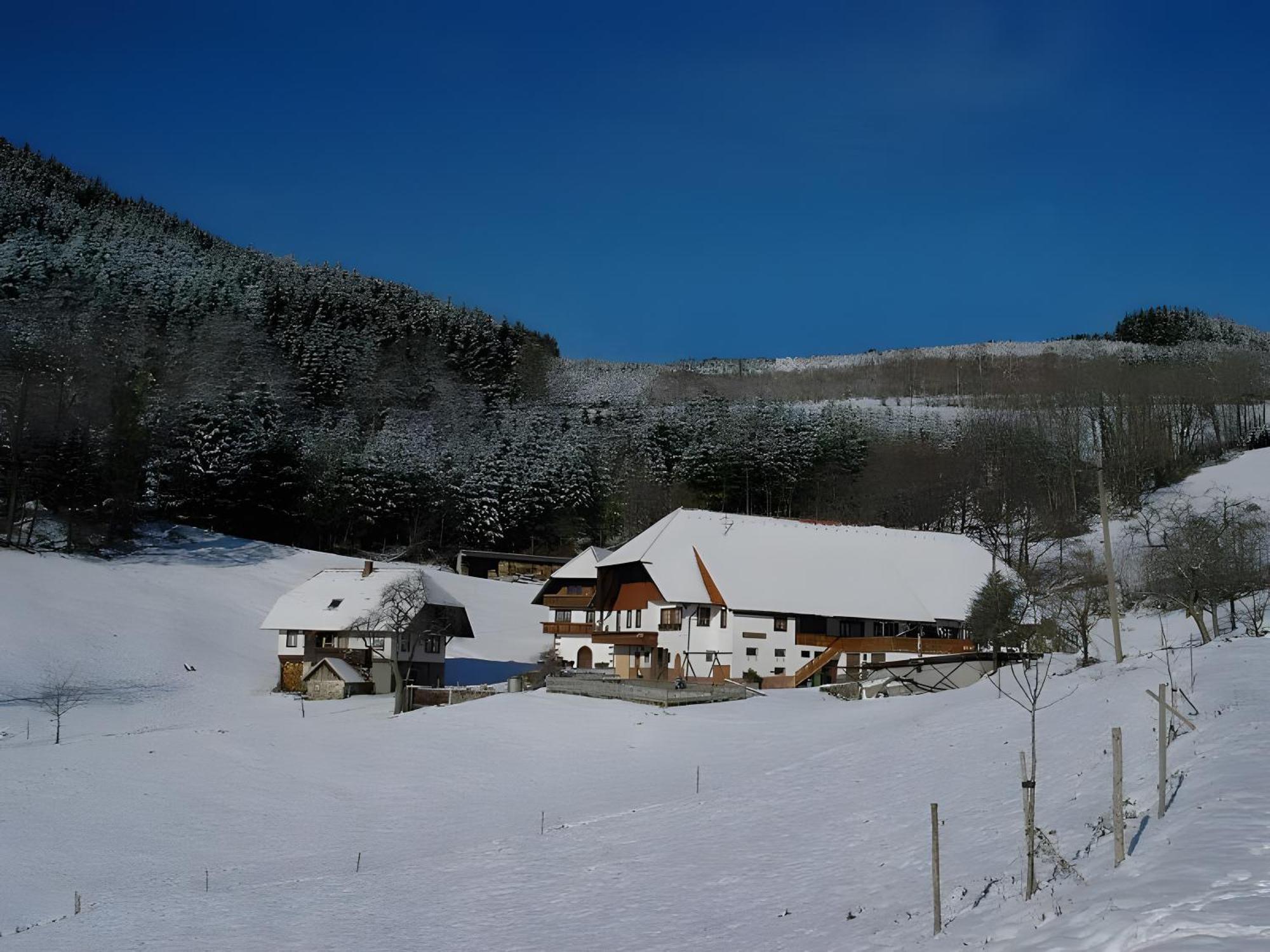 NeuenbachUhlhof公寓 外观 照片